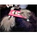 Чехол Fendi Karlito на на Iphone 6/6s